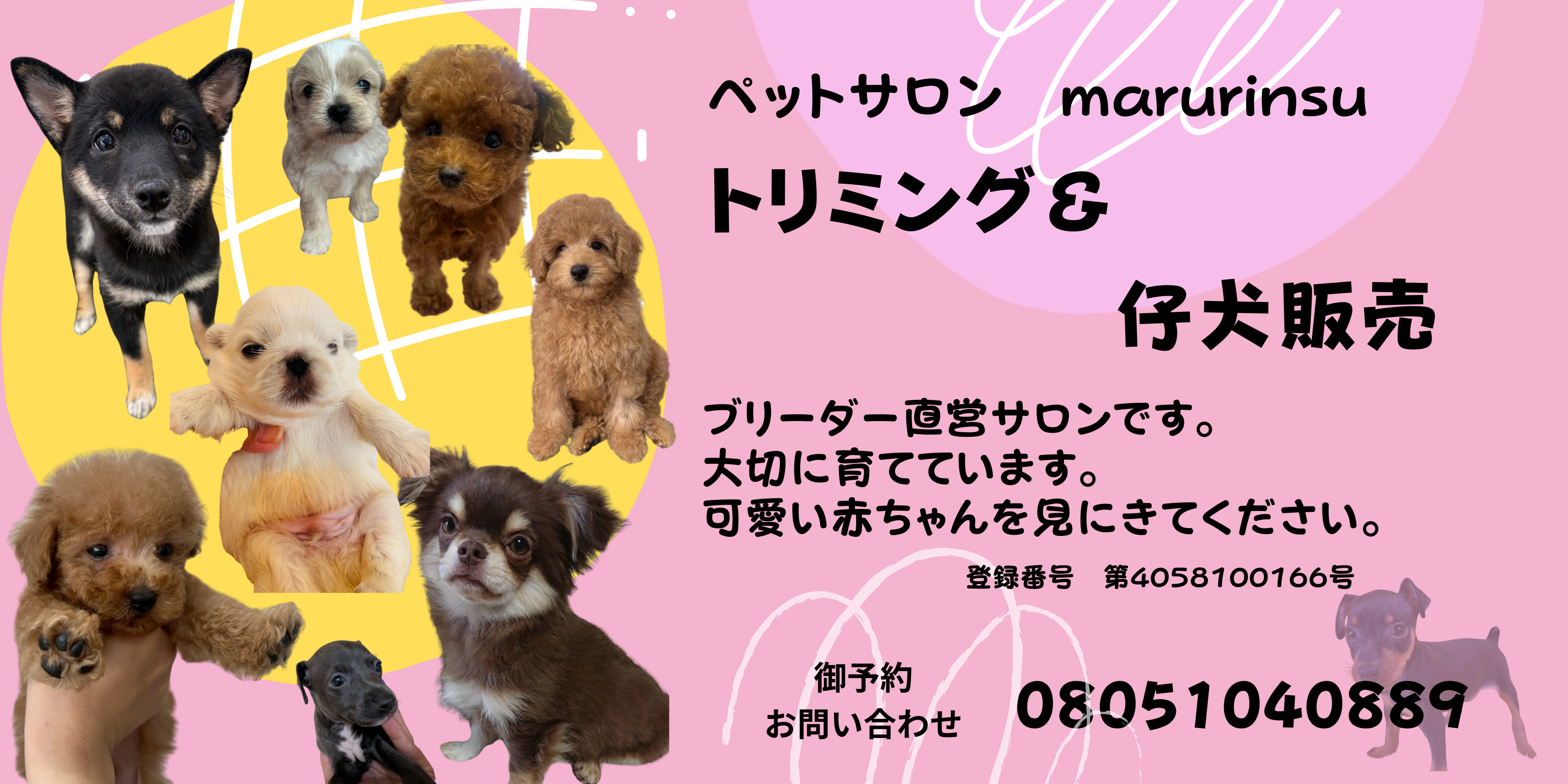 welcom marurinsu